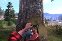 Lumberjack&039;s Dynasty (2021) PC | Лицензия