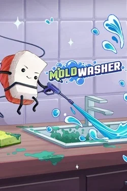 Moldwasher